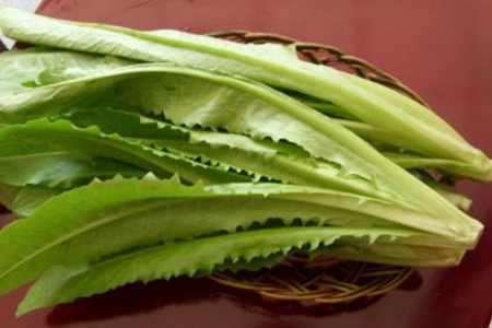 油麦菜的功效与作用，这五个女人吃油麦菜的好处