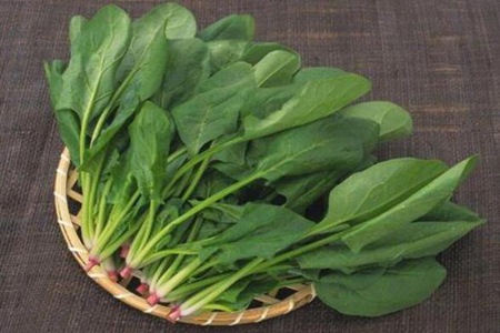 吃什么月经马上来?这四种食物恢复正常月经