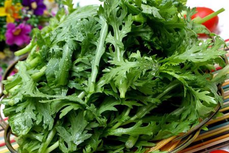 茼蒿菜的作用与功效，这五个女人吃茼蒿菜的药用价值