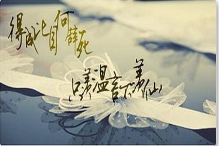 《十年一品温如言》:温言的十年,将由杨紫和“他”来演绎?