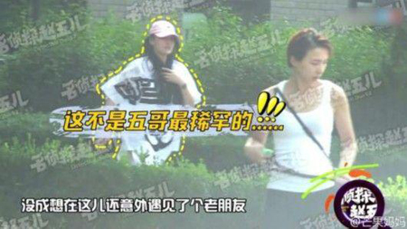 林丹出轨视频惊现张馨予找狗 网友：蹭热点服你