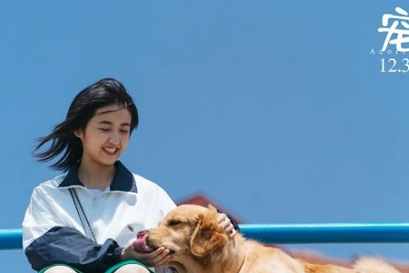 张子枫吴磊宠爱上线,白百何张子枫亲爱的新年好大获好评