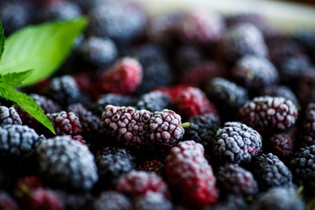 桑葚的功效与作用,这三个桑葚禁忌与副作用