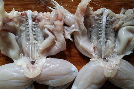 牛蛙的功效与作用，这四个女人吃牛蛙的营养价值