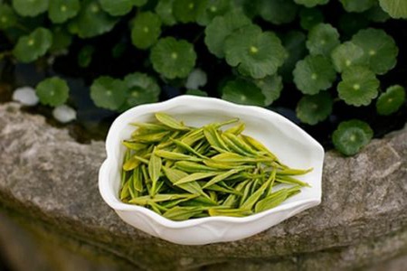 龙井茶的功效与作用,这五个夏天喝龙井茶的好处