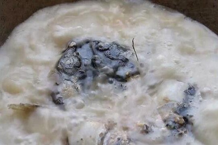 鱼头汤怎么做又浓又白?鱼头汤的做法最正宗的做法