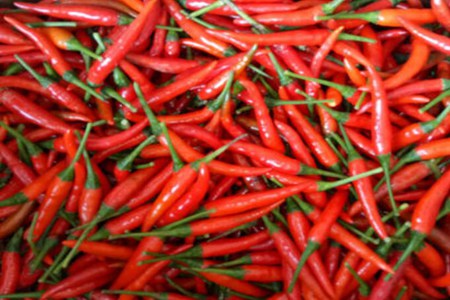 小米椒的功效与作用，这五个小米椒的营养价值