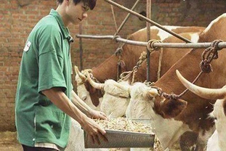 隐形富二代魏大勋开荒犁地 大勋真是抠门一男演员吗