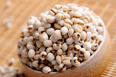 如何正确用薏米祛湿？女生需掌握这两种方法科学除湿气